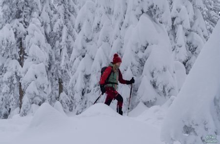 Gscheideggkogel Puiva -Jauk u.Kinder 9