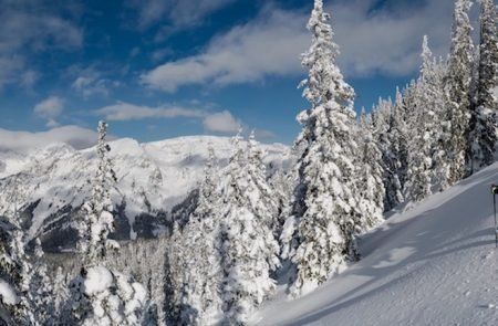 Gscheideggkogel von der Radmer (15)