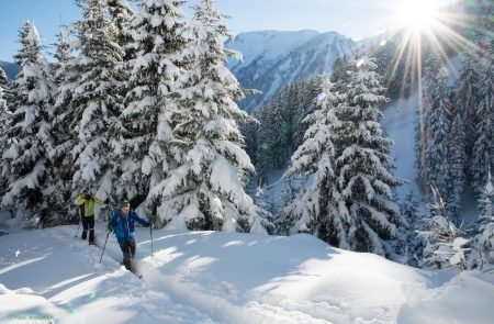 Gscheideggkogel von der Radmer (18)