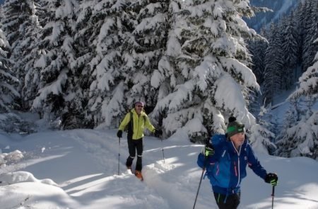 Gscheideggkogel von der Radmer