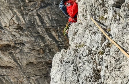 gulis di brenta fehrmann 113