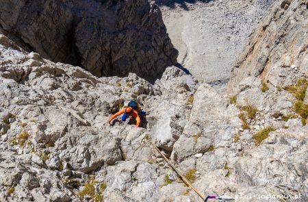 gulis di brenta fehrmann 14