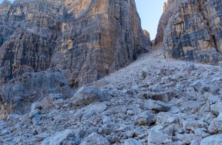 gulis di brenta fehrmann 6
