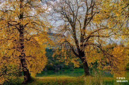 Herbst ©Sodamin (7)