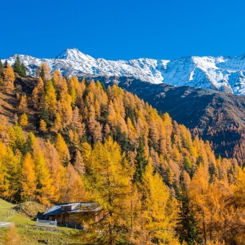 Herbst NP-Glockner