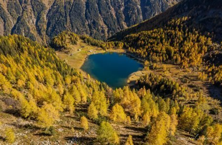 Herbstlicht Duisitzkarsee 16