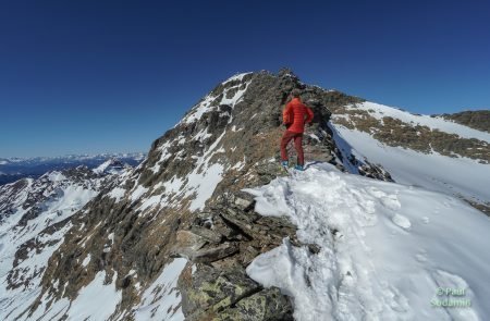 Hochwildstelle 2747 m. 11