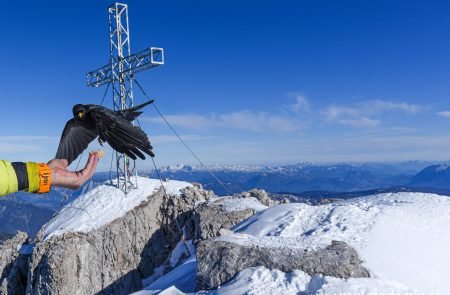 hoher dachstein 2995 m schulteranstieg mit bergfuehrer paul sodamin 66