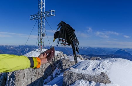 hoher dachstein 2995 m schulteranstieg mit bergfuehrer paul sodamin 74
