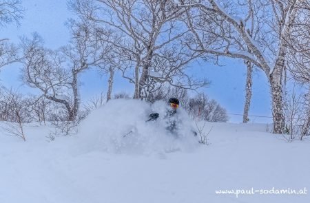 Japan Powder -11