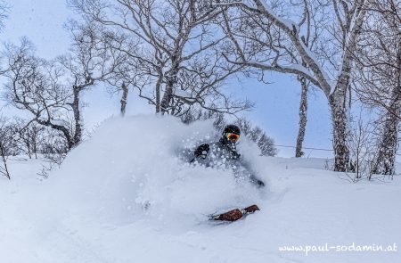 Japan Powder -13