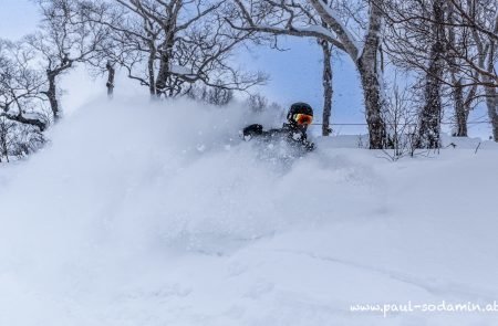 Japan Powder -15