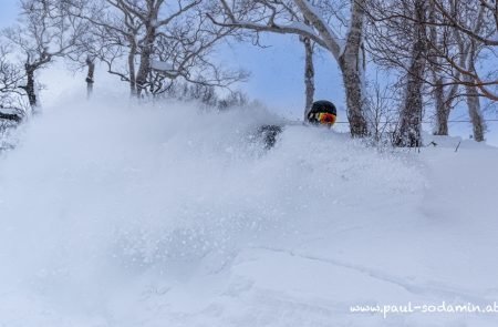 Japan Powder -16