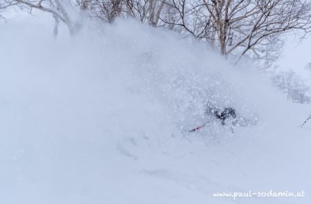 Japan Powder -18