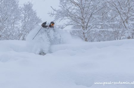 Japan Powder -3