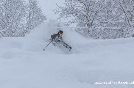 Japan Powder -5