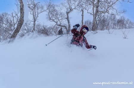 Japan Powder -9