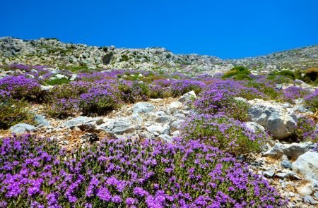 Kalymnos (10)