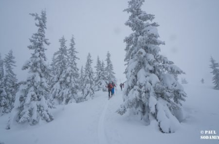 LAHNGANGKOGEL ©Sodamin (5 von 8)