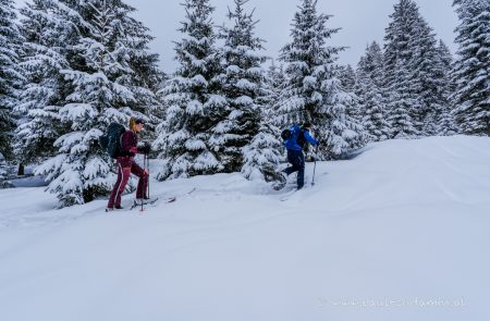 leobner 2.036 m. mit bergfuehrer skitour 9