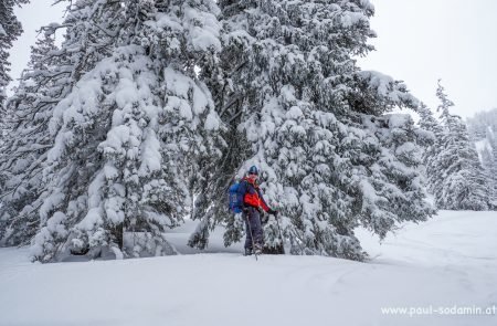 Leobner - Gesäuse - Skitour - Steiermark 9