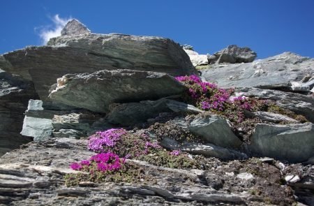 Matterhorn (16)