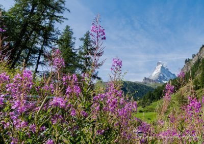 Matterhorn ©Sodamin Paul 14