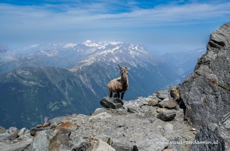 mt.blanc 4010m sodamin 5 1