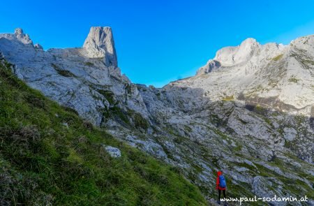 naranjo de bulnes 6