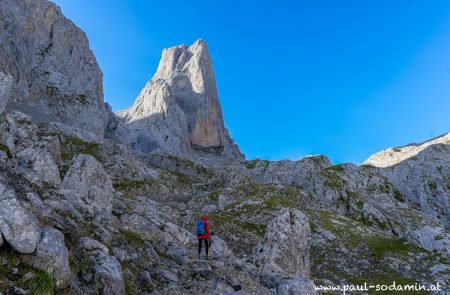 naranjo de bulnes 7