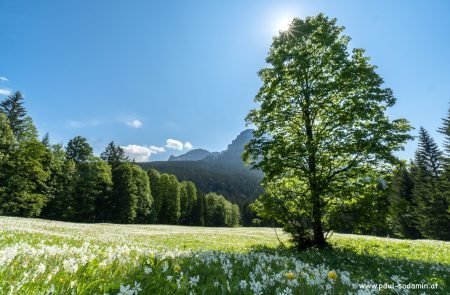 Natur pur im Ausseerland u. im Ennstal © Sodamin Paul 1