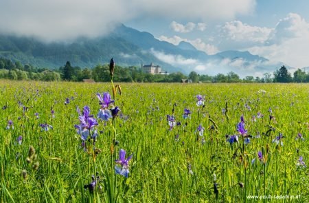 Natur pur im Ausseerland u. im Ennstal © Sodamin Paul 10