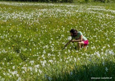 Natur pur im Ausseerland u. im Ennstal © Sodamin Paul 11