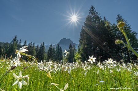 Natur pur im Ausseerland u. im Ennstal © Sodamin Paul 3