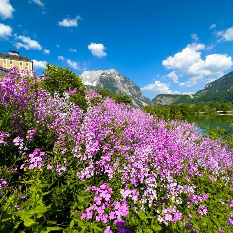 Natur pur im Ausseerland und im Ennstal