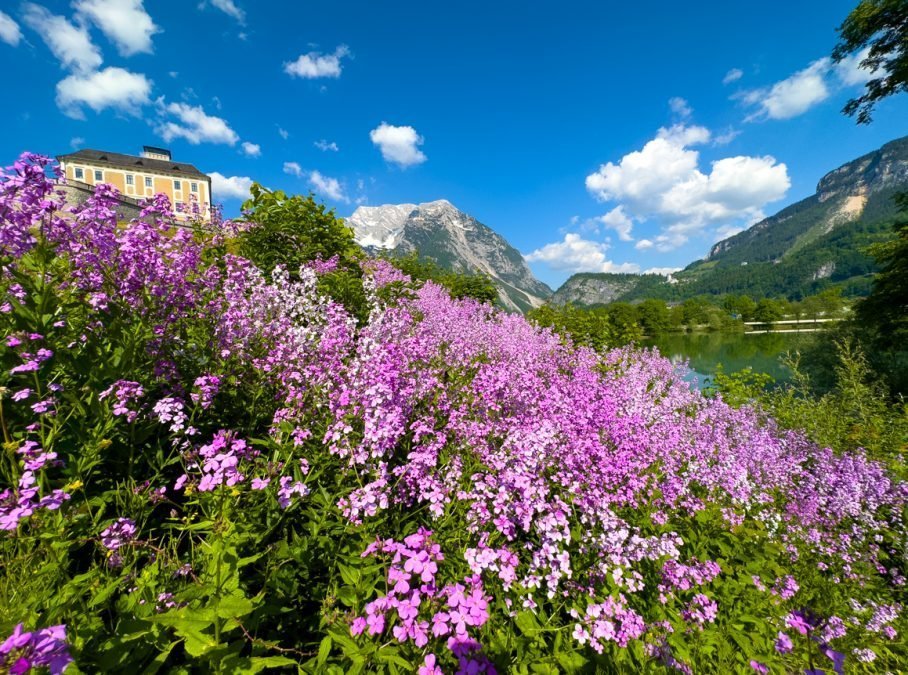 Natur pur im Ausseerland und im Ennstal