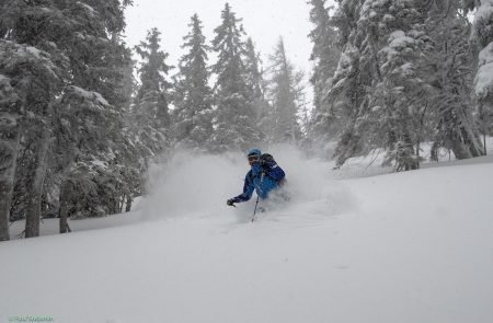 Pulverschnee im Nationalpark Gesäuse  mit Bergführer Paul Sodamin