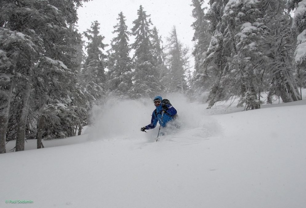 Pulverschnee im Nationalpark Gesäuse  mit Bergführer Paul Sodamin