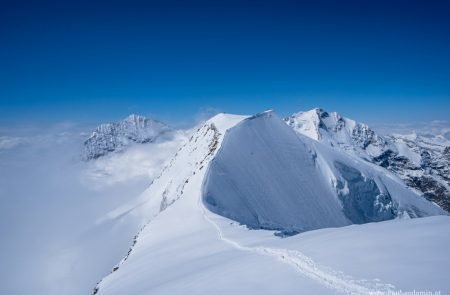 Piz Palü 5