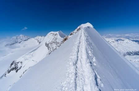 Piz Palü 6