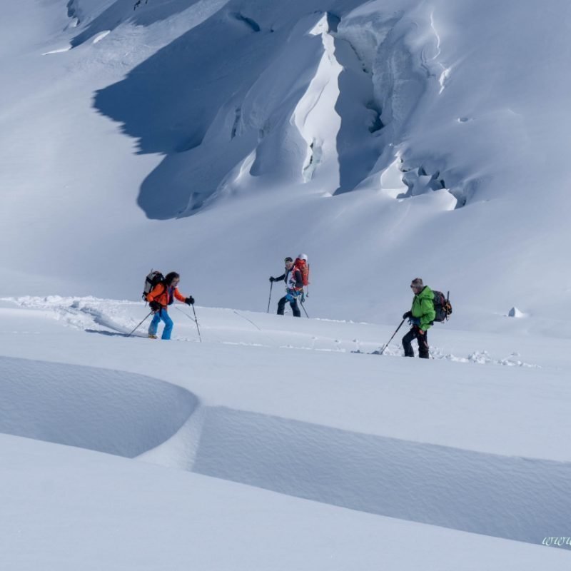 Pulverschnee am Piz Palü 3900m