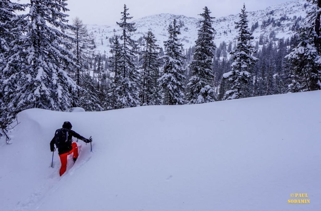 Sicher unterwegs im Puiva –  im Waldbereich