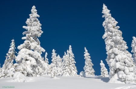 Powder mit Fabienne (10)