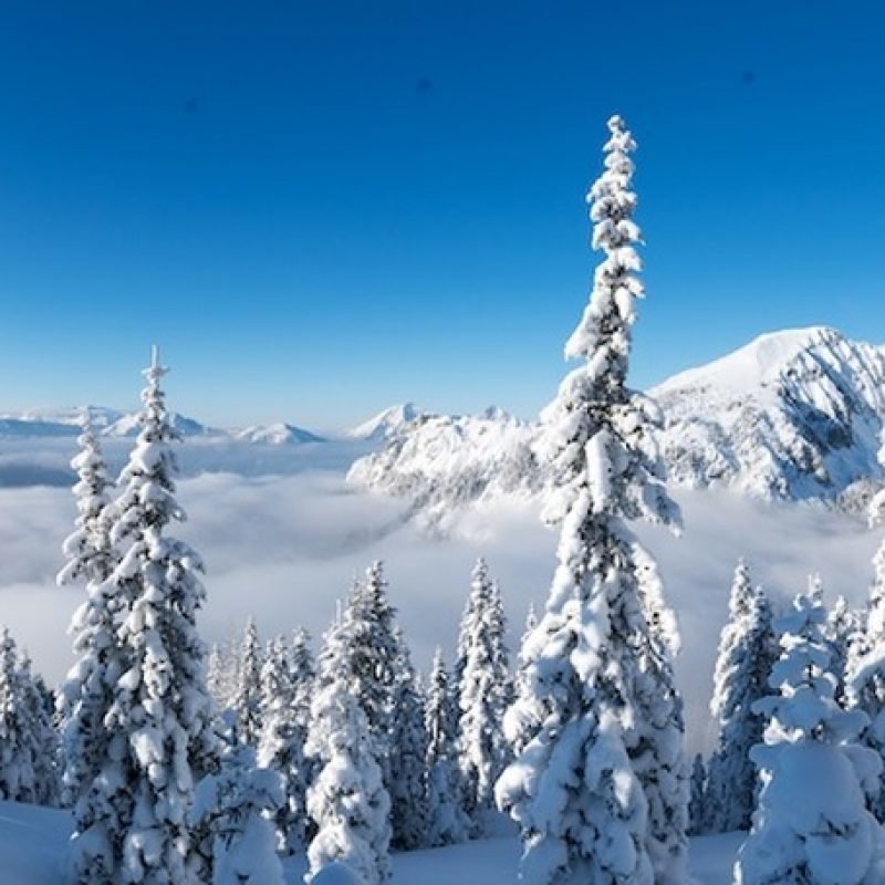 Powder mit Tochter Fabienne