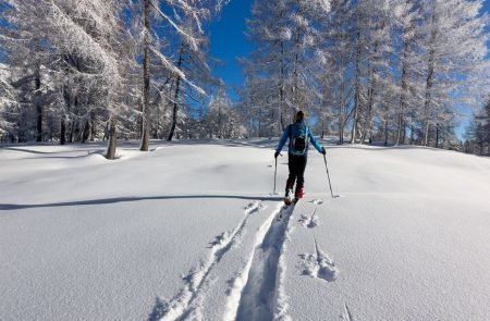 Pulverschnee auf der Tauplitz ©Sodamin. 1