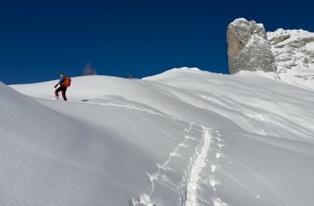 Pulverschnee auf der Tauplitz ©Sodamin. 3