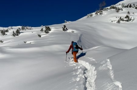 Pulverschnee auf der Tauplitz ©Sodamin. 4