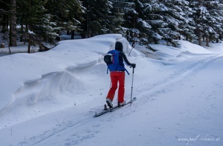 Pulverschnee im Nationalpark Gesäuse 10