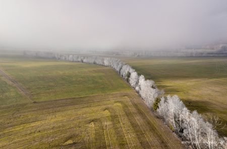 Reif Bäume -Grimming DR-Sodamin 1