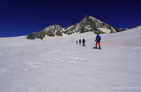 Romariswandkopf, 3511 m, Skihochtour Stüdlhütte Hohe Tauern5